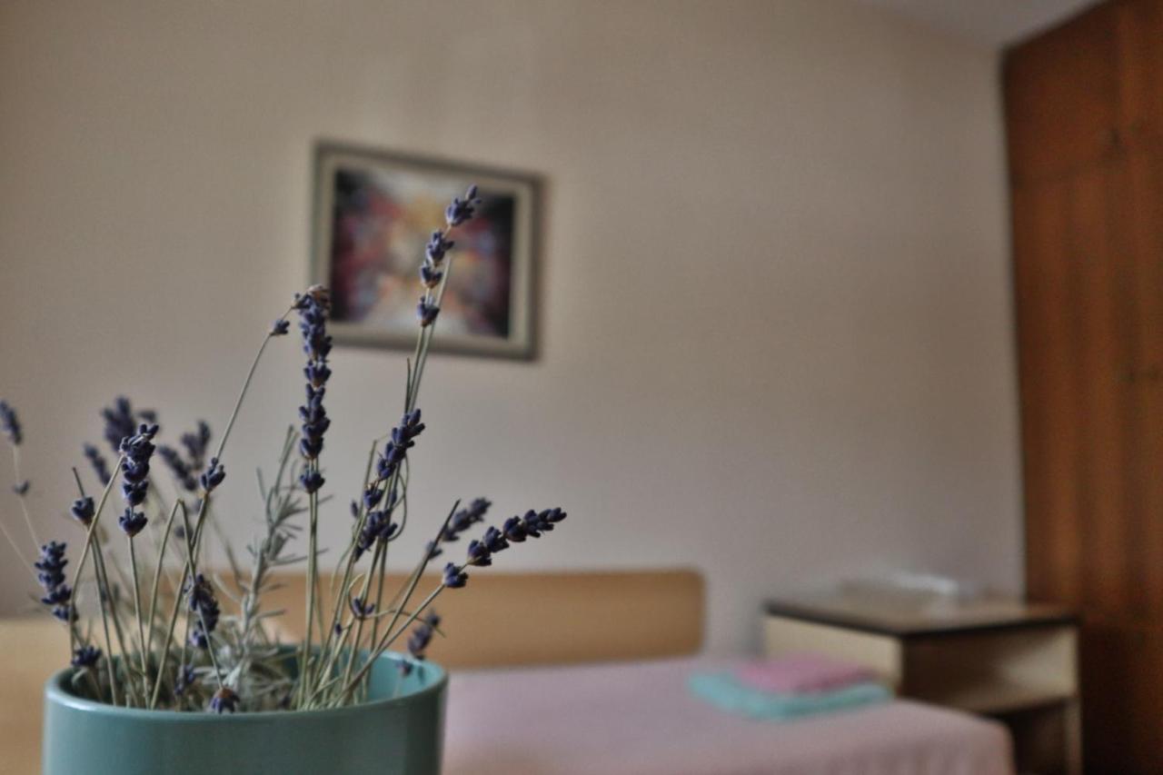 Family Apartment Ivanovic Скопье Экстерьер фото