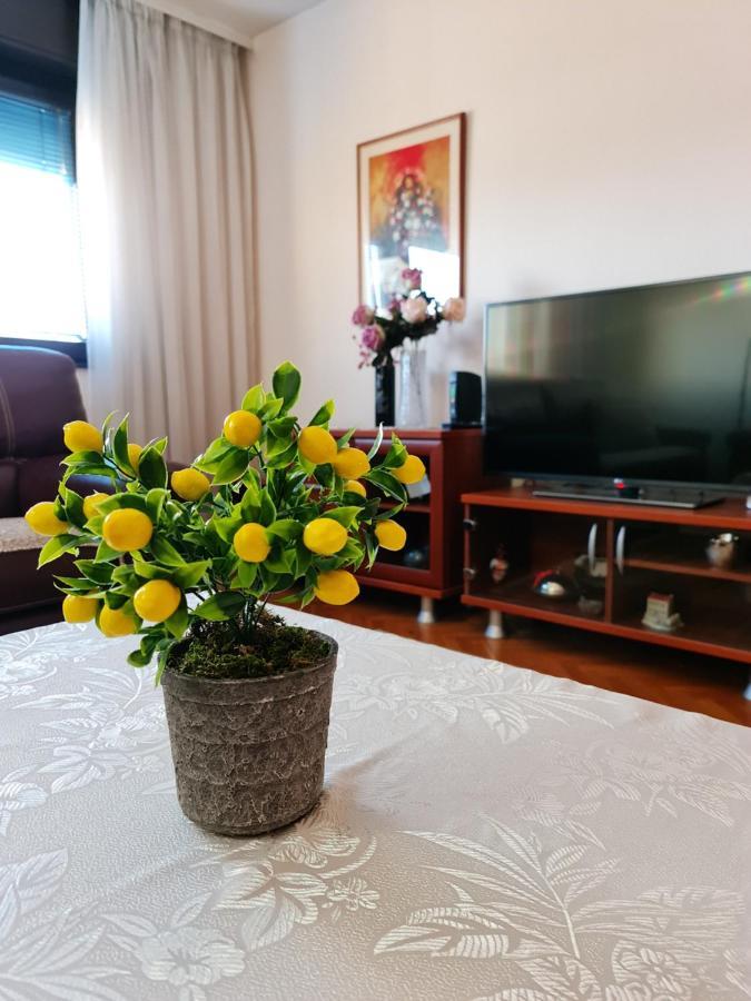 Family Apartment Ivanovic Скопье Экстерьер фото